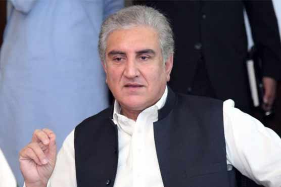 حمزہ شہبازوزارت اعلیٰ کی حوس میں کچھ بھی کرسکتے ہیں'شاہ محمودقریشی