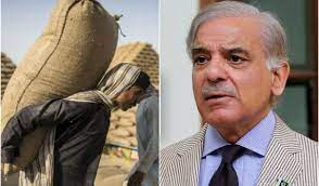 گندم کی خریداری میں قیمت کو کم کروا کر ملک و قوم کا پیسہ بچایا جائے'شہبازشریف