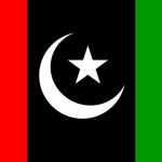 حیدرآباد ‘ پیپلزپارٹی نے میئرشپ حاصل کرنے کیلئے حکمت عملی مرتب کرلی