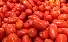 کراچی میں ٹماٹر کی قیمت 480 روپے فی کلو تک پہنچ گئی