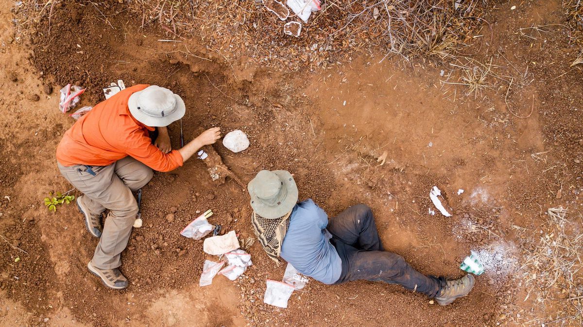 زمبابوے میں23 کروڑسال سے زیادہ پرانا ڈائنوسار دریافت