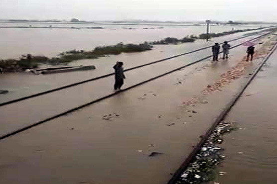 سندھ میں سیلاب کے باعث 6 بڑے شہروں میں تعلیمی نظام متاثر