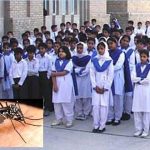 کراچی: اسکولوں کے لیے ڈینگی اور ملیریا کے ضوابط جاری