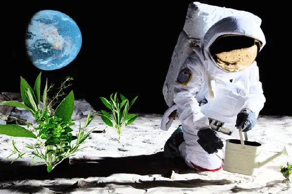 2025میں چاند پر پودے اُگانے کی کوشش کریں گے، سائنسدان