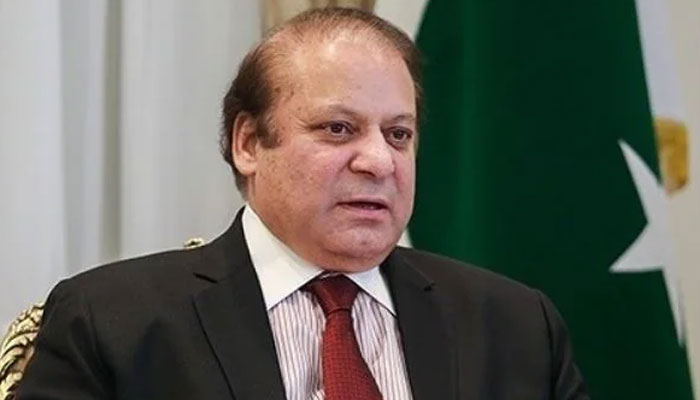 نواز شریف کو سفارتی پاسپورٹ مل گیا، شریف فیملی کی تصدیق