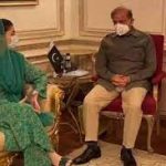 وزیر اعظم سے مریم نواز کی ملاقات، پارٹی کے ناراض رہنماؤں کو منانے کا فیصلہ