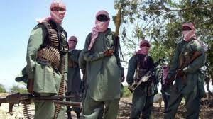 صومالیہ میں فوجی افسران کے گھر پر حملہ، 10 جاں بحق، 3 زخمی، الشباب نے ذمہ داری قبول کر لی