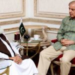 پی ڈی ایم کو ضمنی انتخاب میں حصہ نہیں لینا چاہئے، مولانا فضل الرحمان کا شہباز شریف کو مشورہ