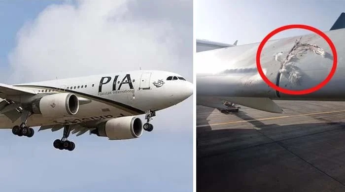 ایئر پورٹس پر طیاروں سے پرندے ٹکرانے کے واقعات، پی آئی اے کو لاکھوں ڈالرز کا نقصان