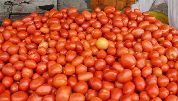 لاہور ،کراچی میں ٹماٹر کی قیمت میں ہوش ربا اضافہ