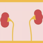 مہنگائی، بیروزگاری کا سیلاب: پنجاب کے شہری اپنے اعضاء فروخت کرنے لگے