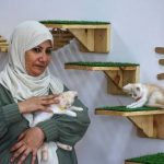 غزہ کا منفرد ریستوران: جہاں بلیاں دل بہلاتی ہیں