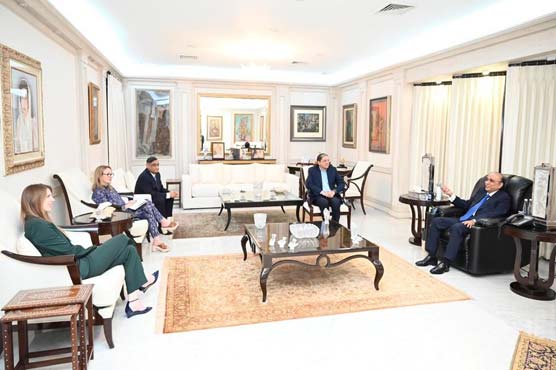 آصف زرداری سے برطانوی ہائی کمشنر کی ملاقات، اہم امور پر تبادلہ خیال