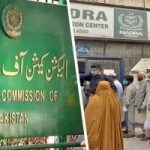 افغانیوں کے جعلی شناختی کارڈز،  اسکروٹنی تک انتخابات ملتوی کرانے کی درخواست پر فیصلہ محفوظ