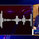 ہمارا مینڈیٹ 100تو ن لیگ، پی پی کا 200فیصد جعلی، گورنر سندھ کی آڈیو بھی لیک