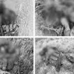 تربت میں پاک بحریہ ائیربیس پر حملہ ناکام، 4 دہشت گرد ہلاک، ایک سپاہی شہید