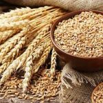 حکومت کاگندم بحران کی جامع تحقیقات سے گریز