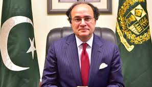 اسٹریٹجک سرکاری اداروں جیسی کوئی چیز نہیں، وزیر خزانہ