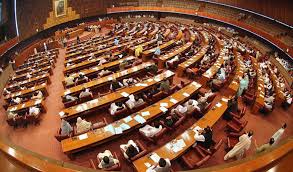 قومی اسمبلی ،ٹیکسز سے بھرپور وفاقی بجٹ کثرت رائے سے منظور