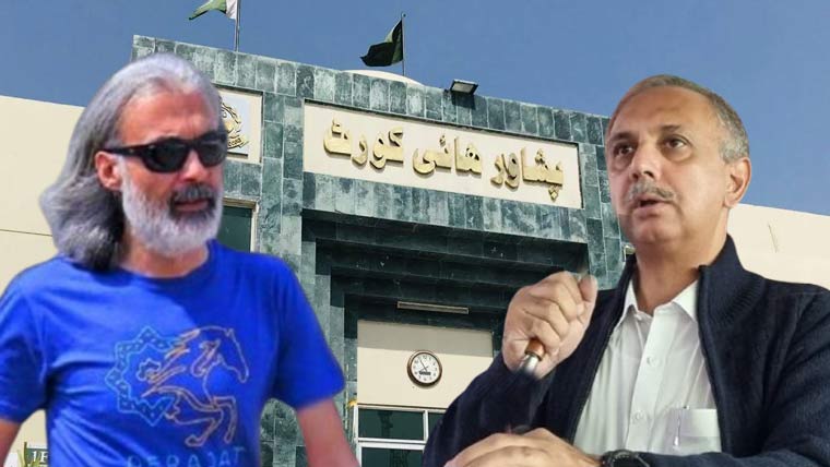 عمر ایوب اور فیصل امین کی ضمانت منظور