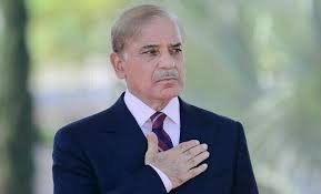 موقع ہے ہم مل کر ملکی معیشت کو مزید بہتر کریں، شہباز شریف