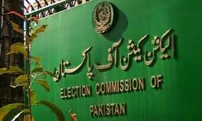 فافن نے انتخابات 2024 کے نتائج کے حوالے سے رپورٹ جاری کردی