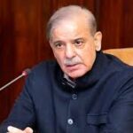 ملک میں تمام انسانی اسمگلنگ کے گروہوں کے خلاف سخت قانونی کارروائی کی جائے تاکہ وہ نشان عبرت بنیں, شہباز شریف