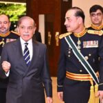 بھارتی پروپیگنڈے کا جواب دینے پرنوجوان، میڈیافولادی دیوار قرار