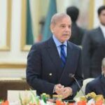 عالمی برادری پاکستان کے اندر بھارتی دہشت گردی کا نوٹس لے، صدر ، وزیراعظم