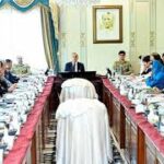اقتصادی کونسل اجلاس،وزیراعظم سے سندھ حکومت کے شکوے