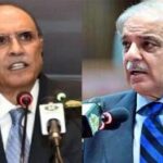 زرداری صدر رہیں گے، فیلڈ مارشل کے سیاسی عزائم نہیں، وزیراعظم