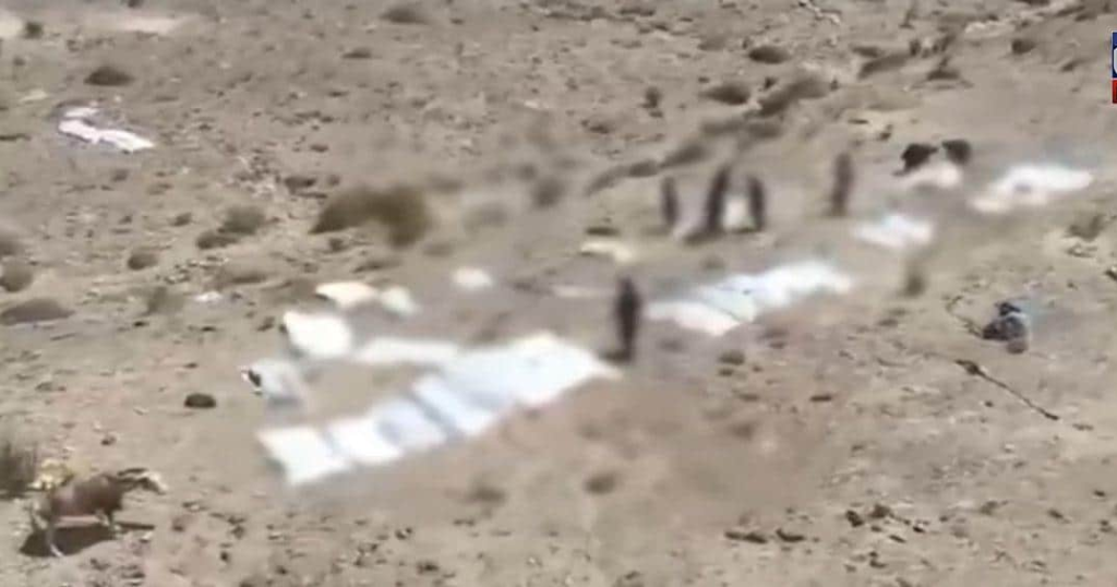 47 دہشت گردوں کی لاشیں گوشت خور جانوروں کے کھانے کا انکشاف