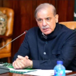 بھارت جھگڑالو پڑوسی ، اچھے ہمسائے کی طرح رہے، وزیراعظم