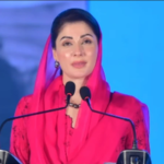 پنجاب میں کام پر تنقید، اپنے صوبوں میں تو کرلیں،مریم نواز