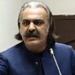 عمران خان کیخلاف مقدمات منصوبہ بندی کے تحت بنائے گئے ، علی امین گنڈاپور