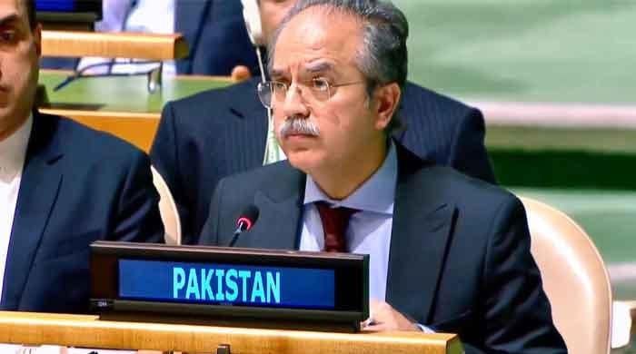 فلسطین اور جموں و کشمیر مسائل حل کیے بغیر امن ممکن نہیں،