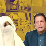 عمران اور بشریٰ نے توشہ خانہ ٹو کیس کا فیصلہ چیلنج کردیا