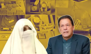 عمران اور بشریٰ نے توشہ خانہ ٹو کیس کا فیصلہ چیلنج کردیا