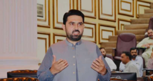 اسٹریٹ موومنٹ کو کامیاب بنا کر دم لیں گے(عمران خان کی ہدایت پر تیاریاں شروع کردیں، وزیراعلیٰ سہیل آفریدی