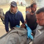 غزہ میں جنگ بندی کی خلاف ورزی، 32 فلسطینی شہید