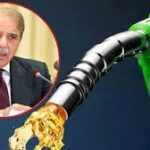 پیٹرولیم مصنوعات کی قیمتیں ہر ہفتے مقرر ہوں گی، سرکاری ملازم گھر پر رہ کر ڈیوٹی کرینگے،وزیراعظم