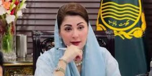 پیٹرول بحران خاتمے تک صوبائی وزراء کیلئے سرکاری فیول بند